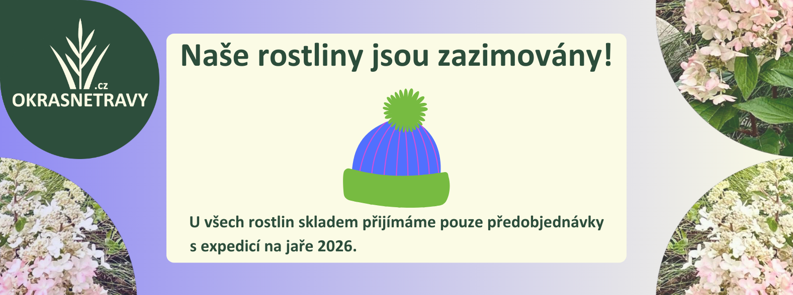 ZAZIMOVANI keře kategorie